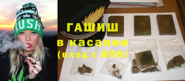 индика Зеленодольск