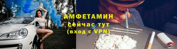 индика Зеленодольск