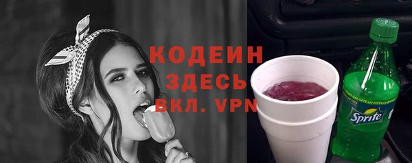 индика Зеленодольск