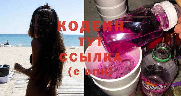 индика Зеленодольск