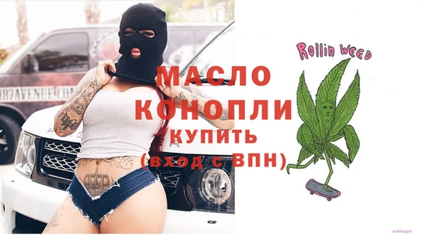 индика Зеленодольск